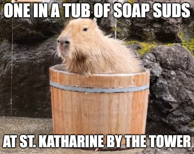 Splish splash, they were just trying to take a bath!